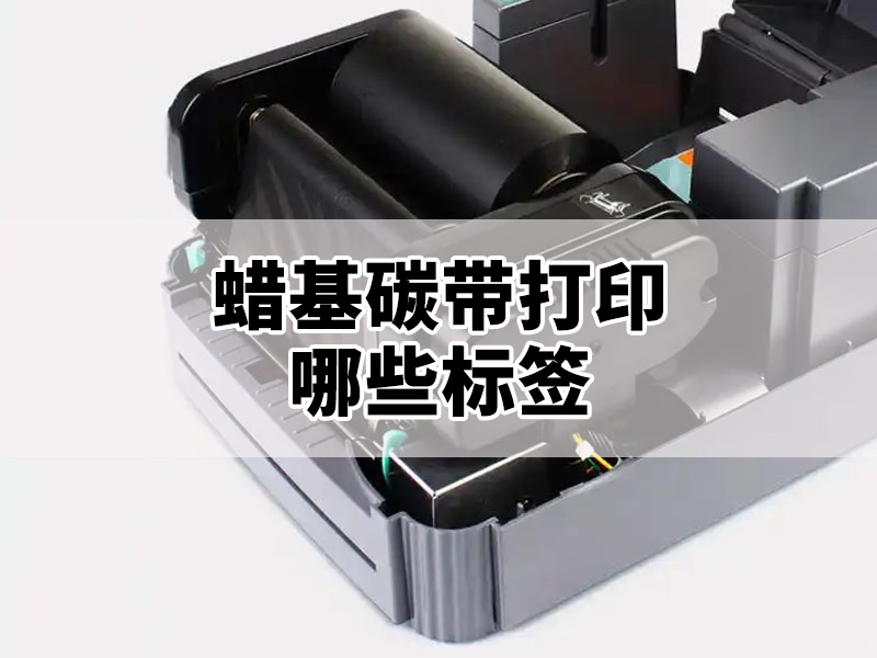 蜡基碳带适合打印哪些标签